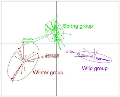 Co-inoculation of a Pea Core-Collection with Diverse Rhizobial Strains Shows Competitiveness for Nodulation and Efficiency of Nitrogen Fixation Are Distinct traits in the Interaction